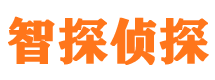 海南市私家侦探